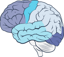 brain icon